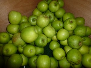 La pomme granny - domaine du bosc - lavaur - Tarn